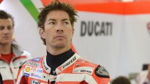 hayden no brno