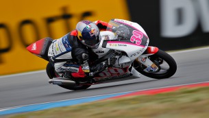 Salom Brno Review