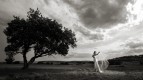 Lauren Vickers & Randy de Puniet Wedding - © Copyright Jonathan Dear