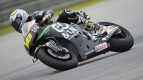 Alvaro Bautista, Go & Fun Honda Gresini - Sepang Official MotoGP Test © Gigi Soldano / Milagro