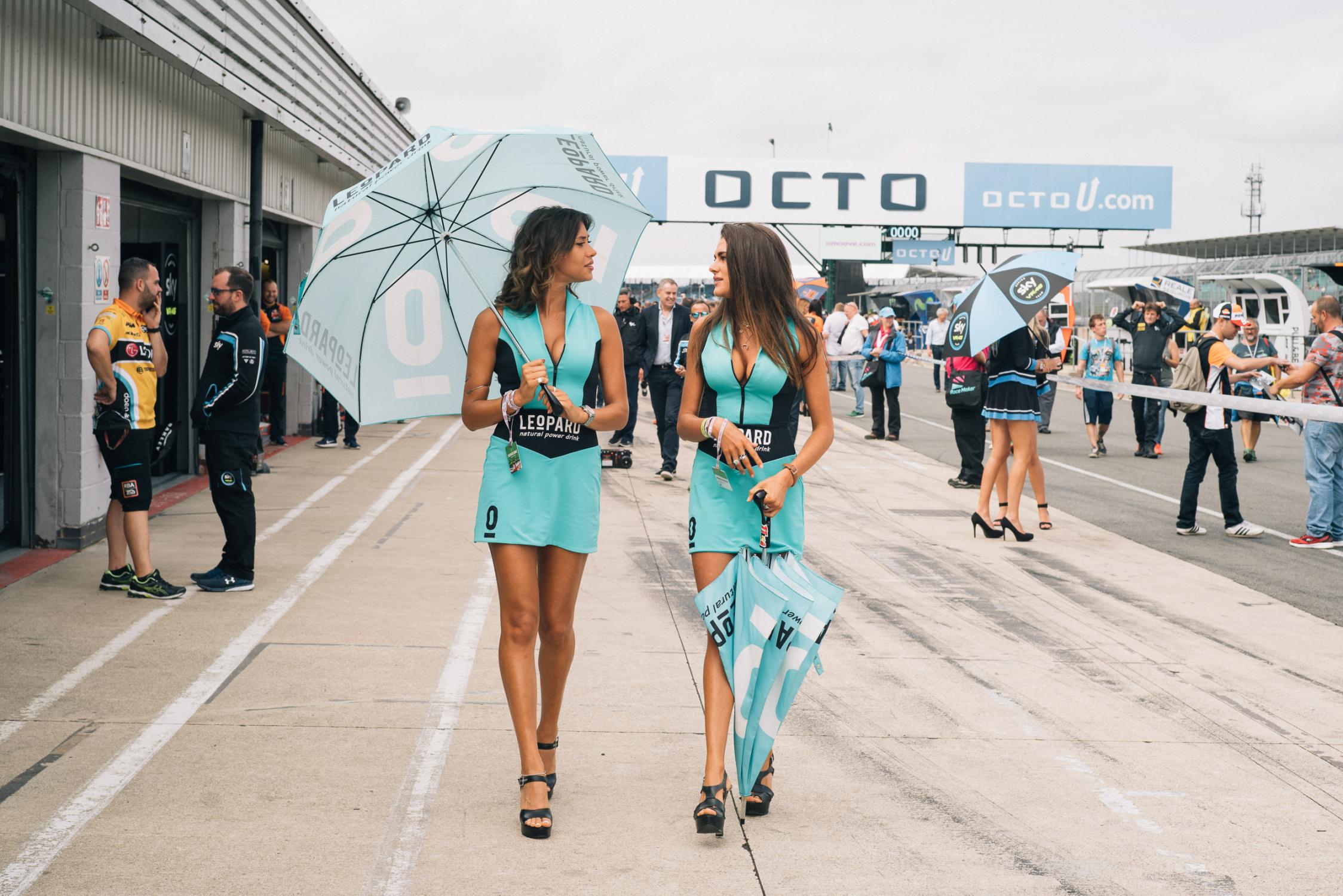 Paddock Girls, Octo British Grand Prix | MotoGP™