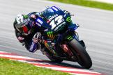 Maverick Vinales, Monster Energy Yamaha Motogp, MotoGP™ Sepang Winter Test