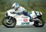 Fausto Gresini, 1987