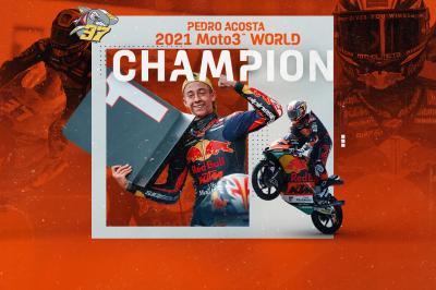 Pedro Acosta, your Moto3™ World Champion