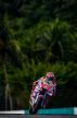 Fabio Di Giannantonio, Gresini Racing MotoGP, Sepang MotoGP Shakedown Test, 2022