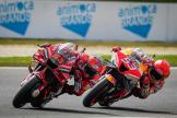 Francesco Bagnaia, Marc Marquez, Animoca Brands Australian Motorcycle Grand Prix 